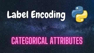 How to perform Label Encoding for Categorical Attributes | Python