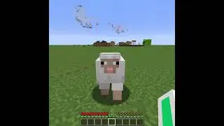 Cursed Angry Sheep in Minecraft