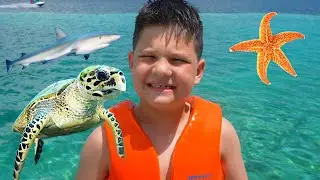 Caleb SWIMS with SHARKS, SEA Turtles, STARFISH and Snails in the OCEAN!