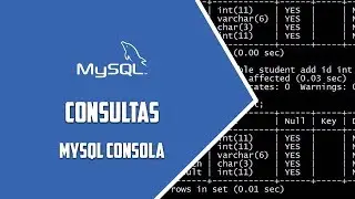 MYSQL Consola –  Consultas básicas– Video 73