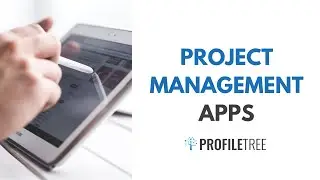 Project Management Apps: What You Need to Know (Trello, Wrike, Asana, Basecamp, Podio, MeisterTask)