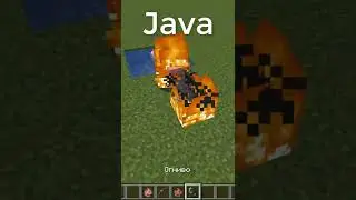 Java vs Bedrock | Minecraft #shorts