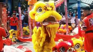 MÚA LÂN 2023, song lân leo mai hoa thung