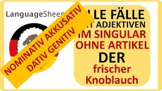 DER - Alle Fälle OHNE ARTIKEL: Nominativ, Akkusativ, Dativ, Genitiv - alle Fälle - all cases German