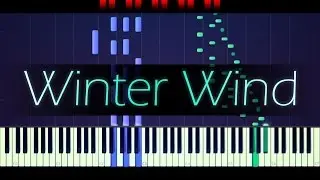 Etude Op. 25 No. 11, "Winter Wind" // CHOPIN