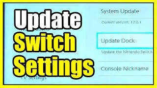 How to Update the DOCK & System on Nintendo Switch (Auto Update)