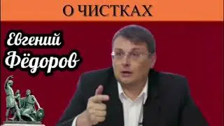 Евгений Фёдоров о чистках