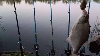 Рыбалка на донки 19 09 23