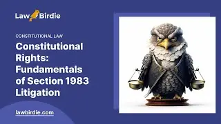 Constitutional Rights: Fundamentals of Section 1983 Litigation - Essay Example