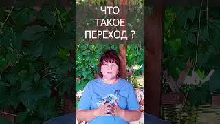 Что такое переход? #shorts Ирина Белова