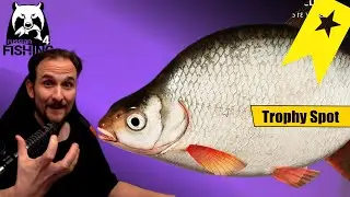 Russian Fishing 4 - Wolchow - Güster ab Lev. 20 - Spot, Set und Köder