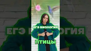 птицы #биология #умскул #биологияегэ #жаннаказанская