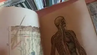 Грачёв Вадим Сергеевич. Обзор моей домашней библиотеки. Часть 146. Филиал 2. Книги второго этажа.
