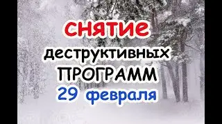 Снятие деструктивных программ 29 февраля