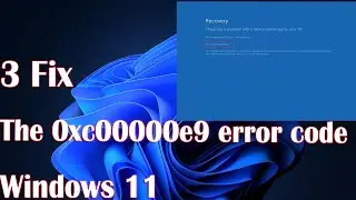 3 Fix the 0xc00000e9 error code in Windows 11 - How to