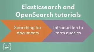 Term queries in Elasticsearch and OpenSearch