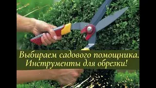 Выбираем садового помощника! Инструменты для обрезки кустарников и многолетников.