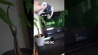 Skull & Bones - Free to Play