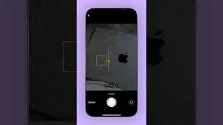 📱Image-to-Text App • Flutter Tutorial