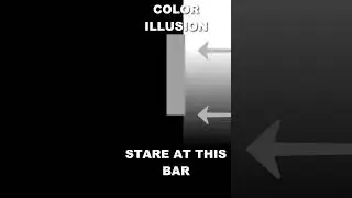 Mind blowing color illusion 