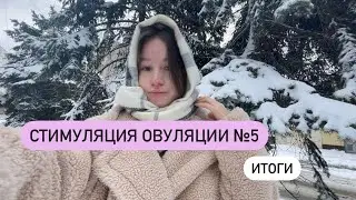 СТИМУЛЯЦИЯ ОВУЛЯЦИИ №5 | Итоги