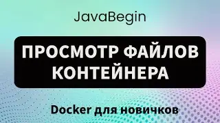 Основы Docker: просмотр файлов контейнера (2023)