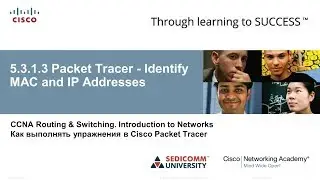 Курс Молодого Бойца Часть 1 2020 CCNA 1 ITN 5.3.1.3 Packet Tracer - Определение MAC- и IP-адресов