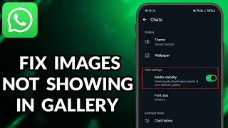 How To Fix WhatsApp Images Not Showing In Gallery