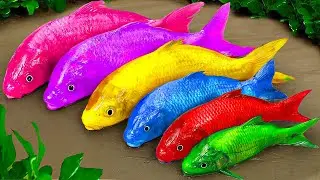 Fishing LEGO RARE RAINBOW Fish Koi, Crocodile, Giant Octopus | Amazing Cutting Skills Compilation