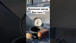 Для чего видеть давление  масла ? 