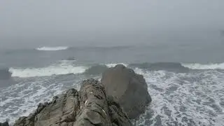 Foggy day on the Oregon Coast