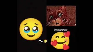 ewwww or awwww #edit #duet #funny #sad #shorts #noway #cry #global