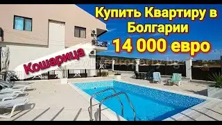 Недорогая Квартира Цена 14 000 Евро Кошарица, Недвижимость в Болгарии