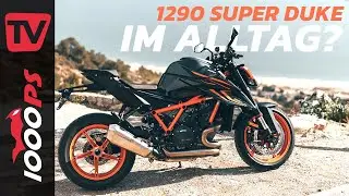 Unzähmbares Biest? Leben mit der KTM 1290 Super Duke R 2022