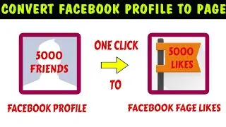 Convert facebook profile to page || How to convert Facebook profile to page? 2024