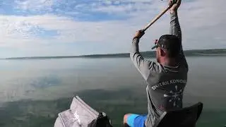 Фидер. Чемпионат Гродненской Области. Первый Этап. Зельва.