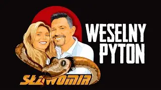 SŁAWOMIR - Weselny Pyton (Official Video Clip HIT 2020)