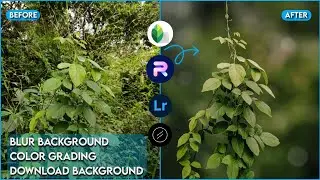 How to Blur Image Background and Photo Editing in Lightroom | PhotoRoom Editing | Snapseed Editing