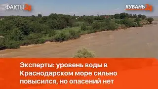 Эксперты: уровень воды в Краснодарском море сильно повысился, но опасений нет