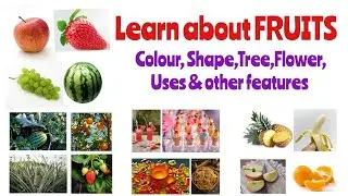 Learn about Fruits for kids