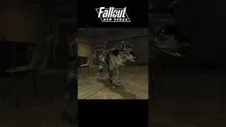 Fallout Dogs Through the Years #Fallout