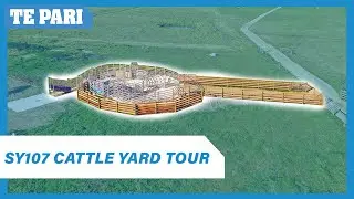 SY107 Cattle Yard Tour | Russell Patterson | Mornington VIC