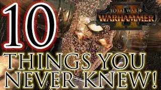 10 Things You Never Knew! - Total War Warhammer 2 Battles!