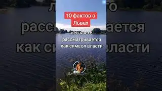 10 фактов о Львах♌