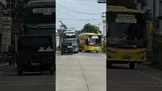 Bus Vs Mobil Puck Up