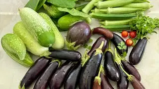 Organic vegetable Harvest 🥦🥬🥒 #harvest #vegetables #odia_plantLover