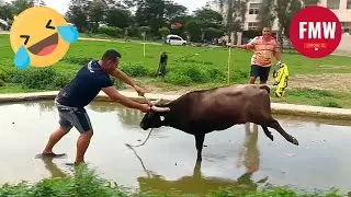 Funny & Hilarious People's Life 😂 #139 - Try Not To Laugh 🤣 Best Funny Videos Compilation 2024