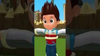 CHASE's journey to rescue RYDER 