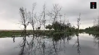 Monsoon Hits Kerala: The Rains Are Here