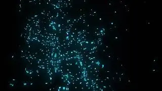 blue spark light particle background loop animation - Download Stock Footage